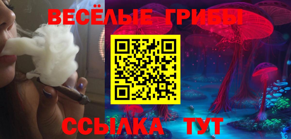 Мценск  Галлюциногенные грибы ЛСД  Вход с VPN 